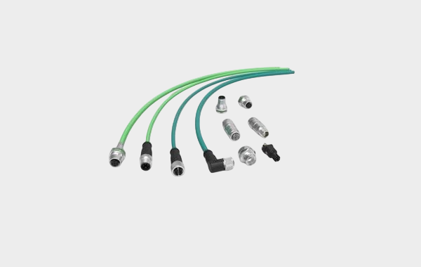 SP International (10)